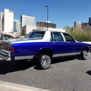 Meet your Posher, Henry